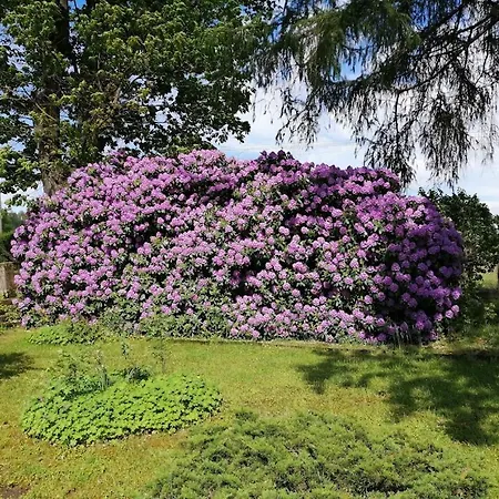Villa Vila Linda Staré Křečany